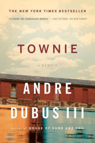 Kniha Townie Andre Dubus