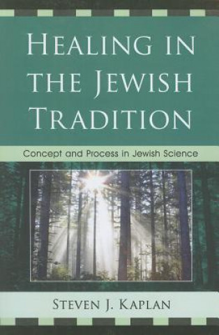 Kniha Healing in the Jewish Tradition Steven J Kaplan