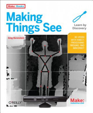 Knjiga Making Things See Greg Borenstein