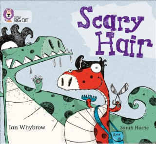 Book Scary Hair Ian Whybrow