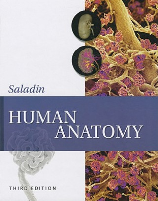 Kniha Human Anatomy Kenneth S Saladin