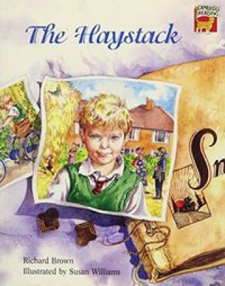 Buch Haystack 