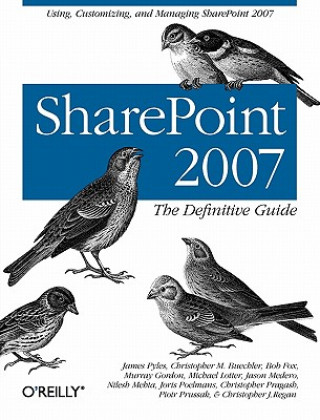 Kniha SharePoint 2007 Robert A Tidrow