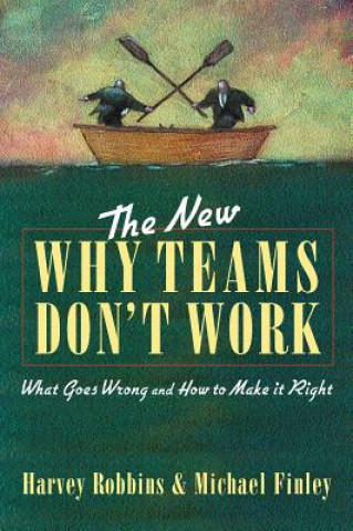 Knjiga New Why Teams Don't Work Harvey Robbins