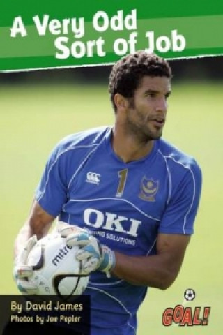 Kniha Very Odd Sort of Job David James