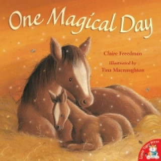 Carte One Magical Day Claire Freedman