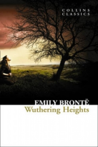 Kniha Wuthering Heights Emily Brontë