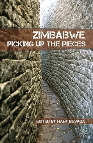 Книга Zimbabwe Hany Besada