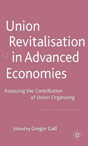 Kniha Union Revitalisation in Advanced Economies Gregor Gall