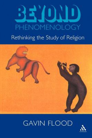 Könyv Beyond Phenomenology Gavin Flood