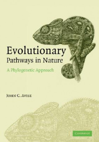 Książka Evolutionary Pathways in Nature John C Avise