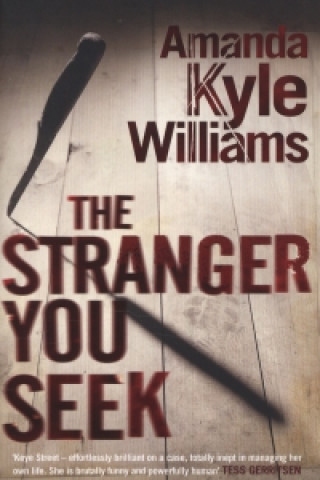 Kniha Stranger You Seek (Keye Street 1) Amanda Kyle Williams