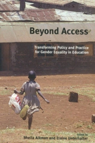 Buch Beyond Access Sheila Aikman