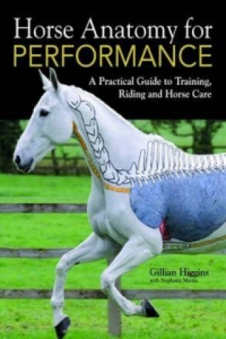 Книга Horse Anatomy for Performance Gillian Higgins
