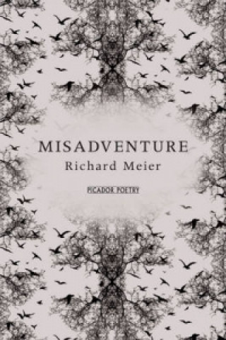 Carte Misadventure Richard Meier