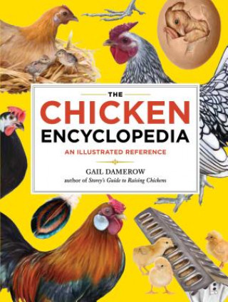 Knjiga Chicken Encyclopedia Gail Damerow