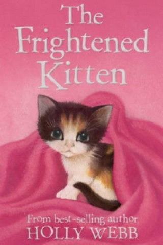 Kniha Frightened Kitten Holly Webb