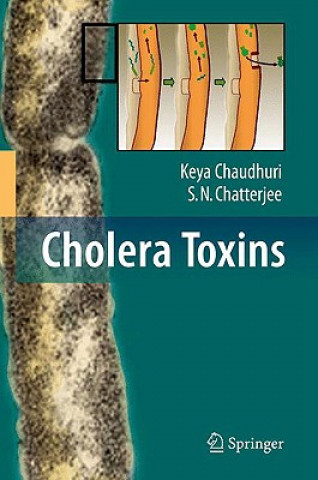 Kniha Cholera Toxins Keya Chaudhuri