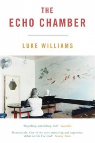 Kniha Echo Chamber Luke Williams