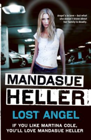 Kniha Lost Angel Mandasue Heller