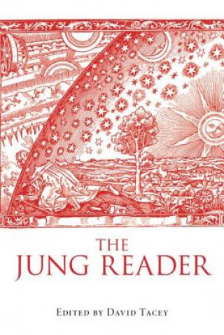 Knjiga Jung Reader David Tacey