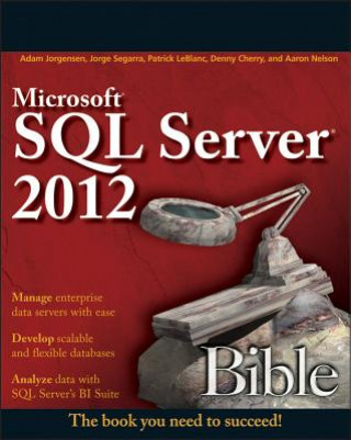 Kniha Microsoft SQL Server 2012 Bible Adam Jorgensen