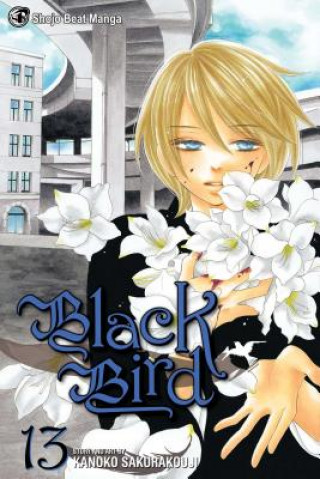 Kniha Black Bird, Vol. 13 Kanoko Sakurakoji