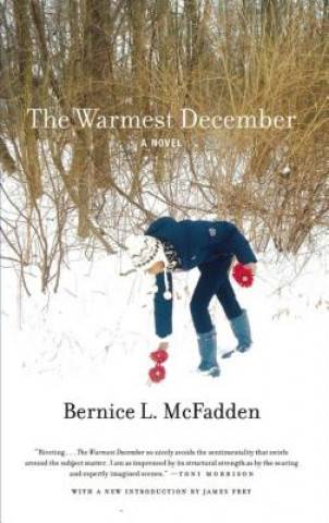 Kniha Warmest December Bernice L