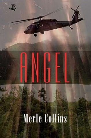Książka Angel Merle Collins