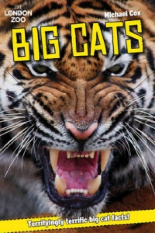 Kniha ZSL Big Cats Michael Cox