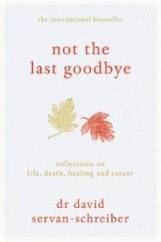 Kniha Not the Last Goodbye David Schreiber