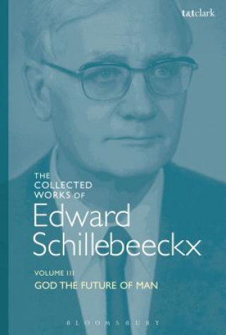 Könyv Collected Works of Edward Schillebeeckx Volume 3 Edward Schillebeeckx