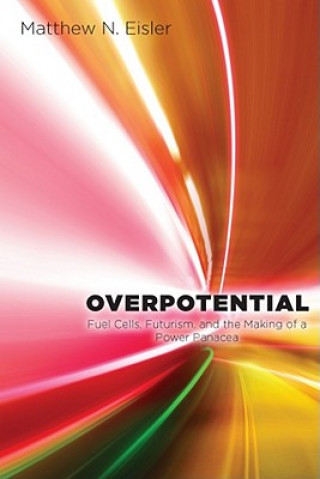 Kniha Overpotential Matthew Eisler