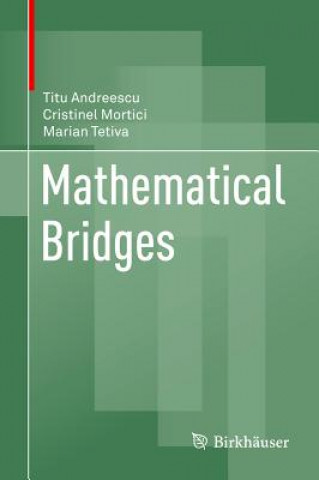 Buch Mathematical Bridges Andreescu