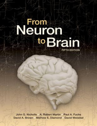 Carte From Neuron to Brain John G Nicholls