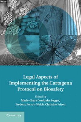 Könyv Legal Aspects of Implementing the Cartagena Protocol on Biosafety Marie-Claire Cordonier Segger