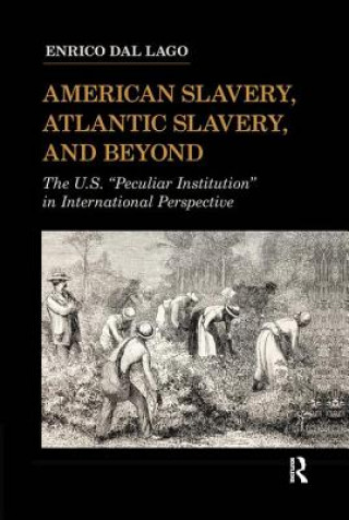 Kniha American Slavery, Atlantic Slavery, and Beyond Enrico Dal Lago
