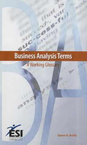 Kniha Business Analysis Terms Glenn R Brule