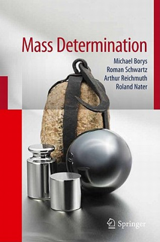 Kniha Fundamentals of Mass Determination Borys