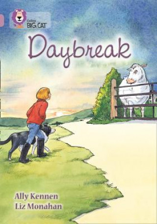 Könyv Daybreak Ally Kennen