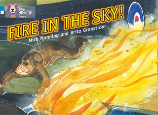 Книга Fire in the Sky Mick Manning