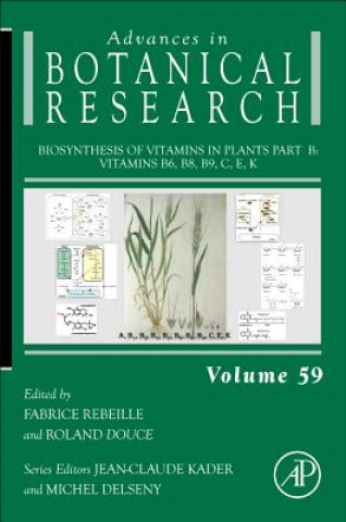 Carte Biosynthesis of Vitamins in Plants Part B Fabrice Rebeille