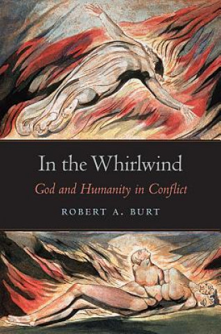 Kniha In the Whirlwind Robert A Burt