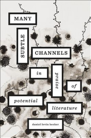 Knjiga Many Subtle Channels Becker Daniel Levin