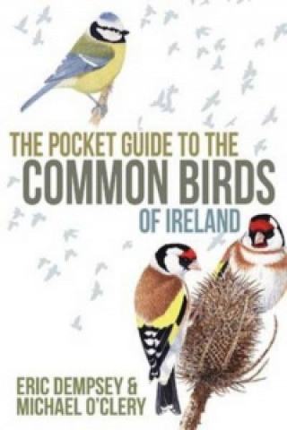 Книга Pocket Guide to the Common Birds of Ireland Eric Dempsey
