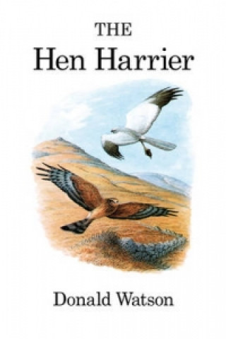 Kniha Hen Harrier Donald Watson