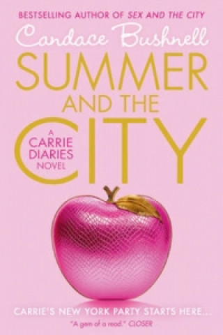 Kniha Summer and the City Candace Bushnell