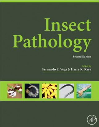 Könyv Insect Pathology Fernando Vega