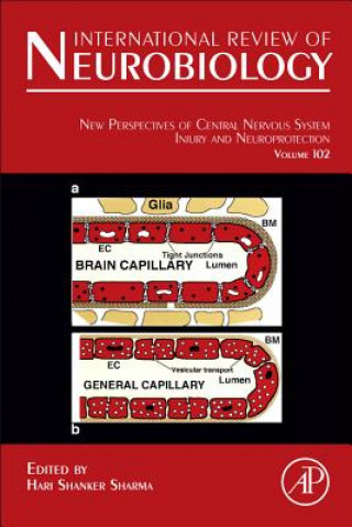 Knjiga New Perspectives of Central Nervous System Injury and Neuroprotection Hari Shanker Sharma