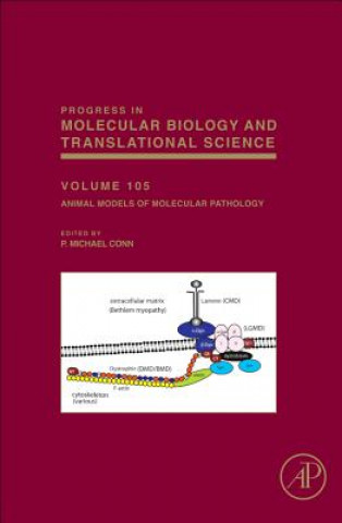 Knjiga Animal Models of Molecular Pathology P Michael Conn